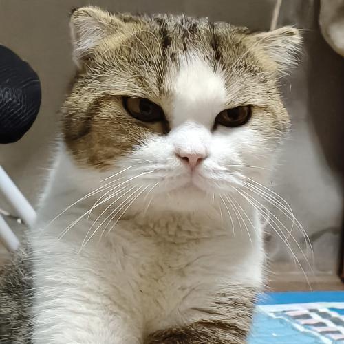 สมาชิกหมายเลข 7696801