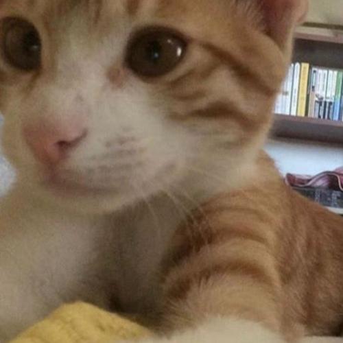 สมาชิกหมายเลข 8827290