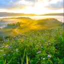 นาจา นาจา