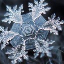 สมาชิกหมายเลข 1747971