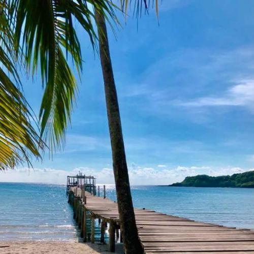 สมาชิกหมายเลข 4313704