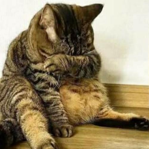 สมาชิกหมายเลข 4572789