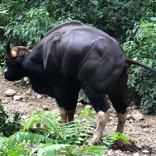 สมาชิกหมายเลข 1801866