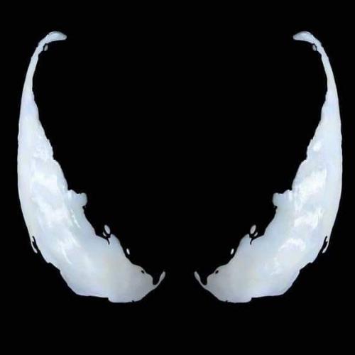 สมาชิกหมายเลข 4412175