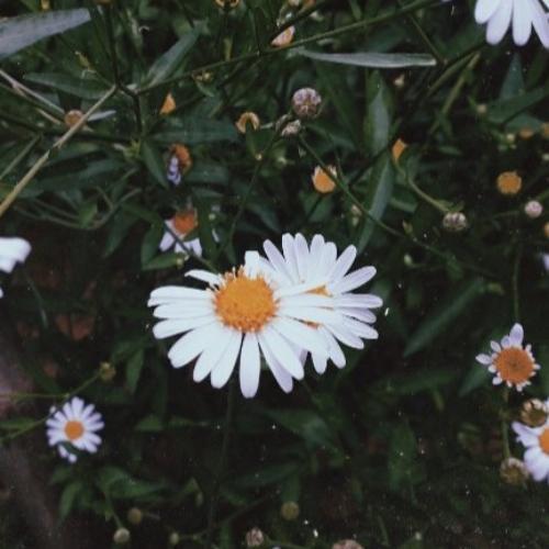 สมาชิกหมายเลข 4567885