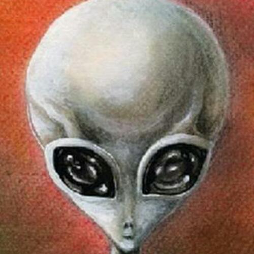 สมาชิกหมายเลข 4917424