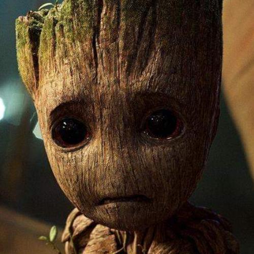 สมาชิกหมายเลข 5042211