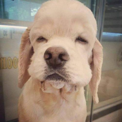 สมาชิกหมายเลข 5195153