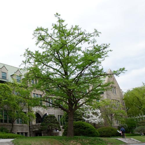 สมาชิกหมายเลข 5228813