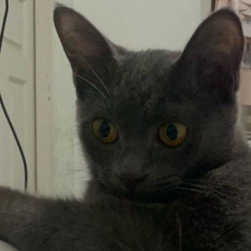 สมาชิกหมายเลข 5318686