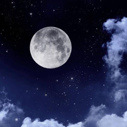 สมาชิกหมายเลข 5408276