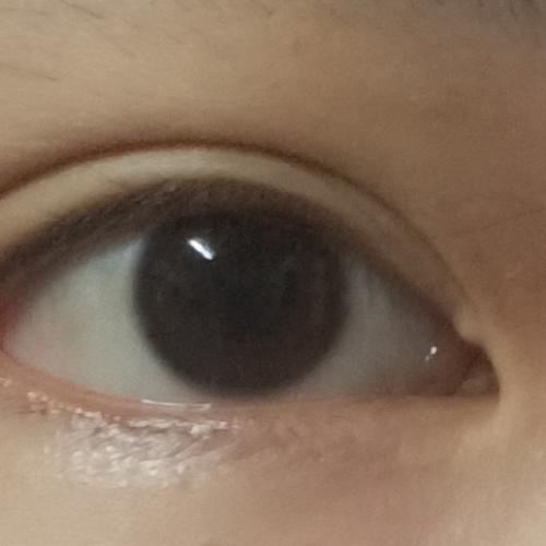 สมาชิกหมายเลข 5781330