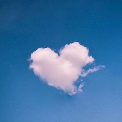 สมาชิกหมายเลข 5781355