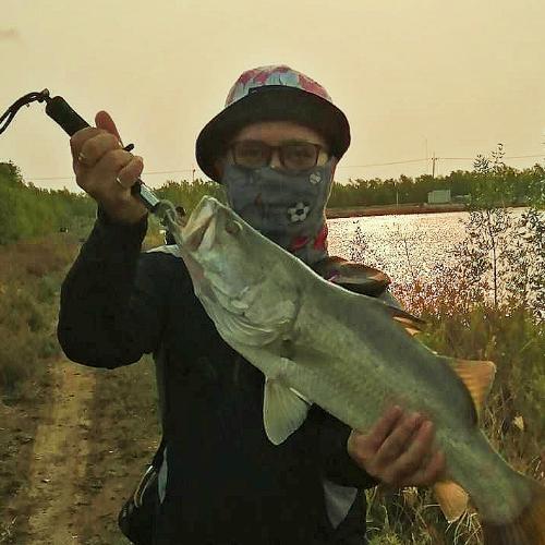 สมาชิกหมายเลข 6332809