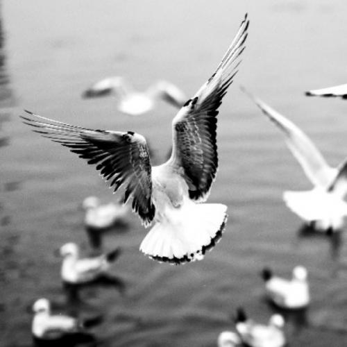 สมาชิกหมายเลข 6358171