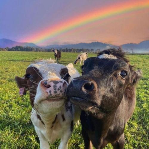 สมาชิกหมายเลข 6380401