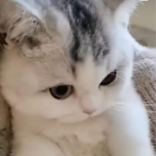 สมาชิกหมายเลข 7050246