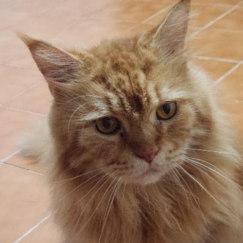 สมาชิกหมายเลข 1287489