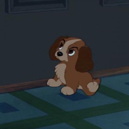 สมาชิกหมายเลข 8822191