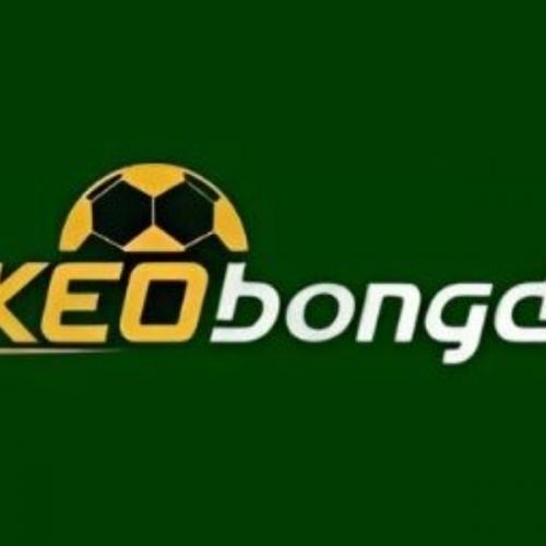 สมาชิกหมายเลข 8828342