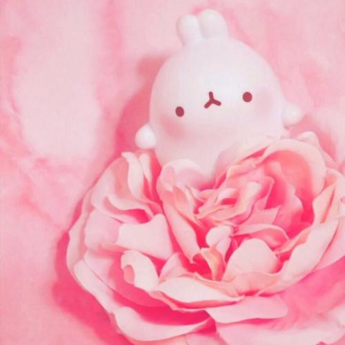 สมาชิกหมายเลข 4166343