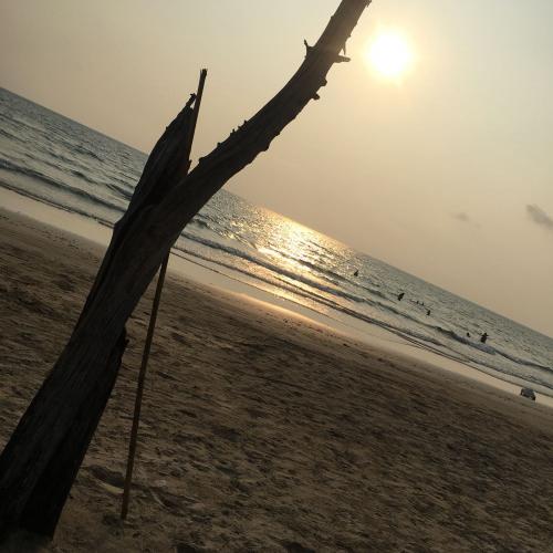 สมาชิกหมายเลข 4404138