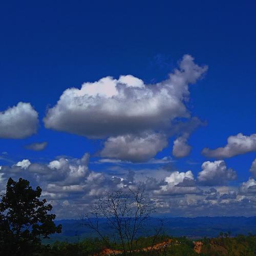 สมาชิกหมายเลข 4499824