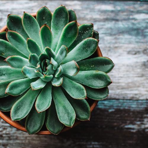 สมาชิกหมายเลข 4577377