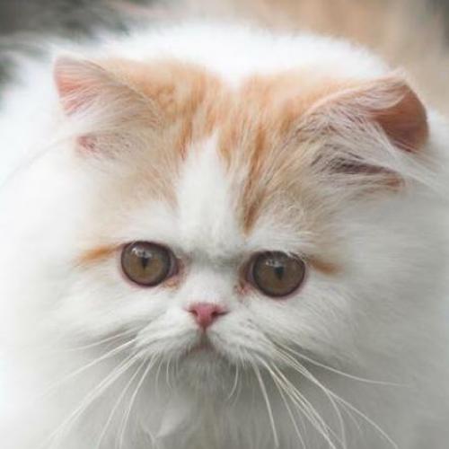 สมาชิกหมายเลข 2757043