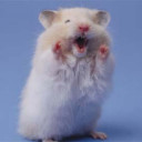 สมาชิกหมายเลข 3039947