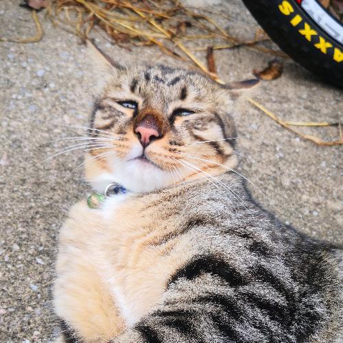 สมาชิกหมายเลข 2115473