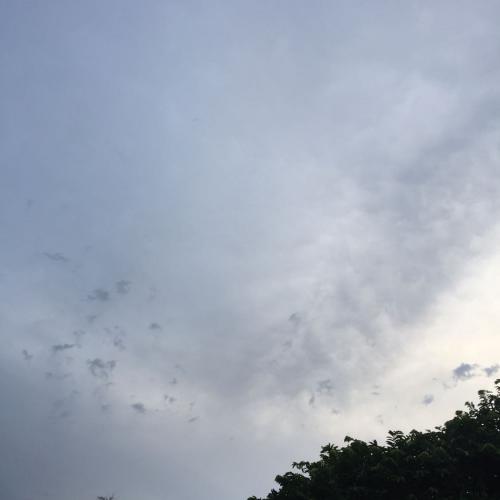 สมาชิกหมายเลข 5314672