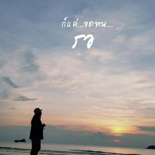 สมาชิกหมายเลข 5319417