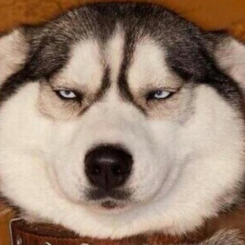 สมาชิกหมายเลข 4295264