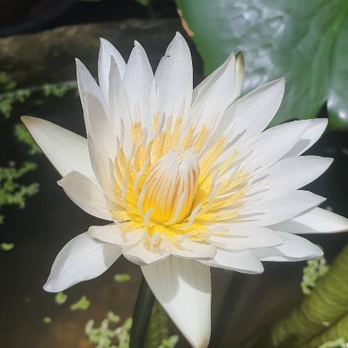 สมาชิกหมายเลข 6712483