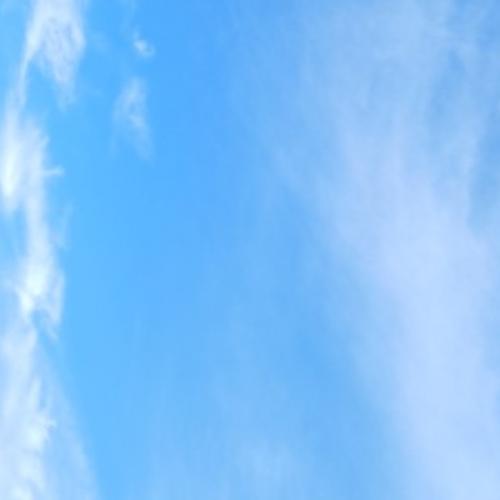 สมาชิกหมายเลข 7841467