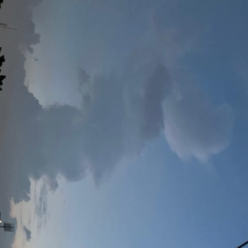 สมาชิกหมายเลข 7841909