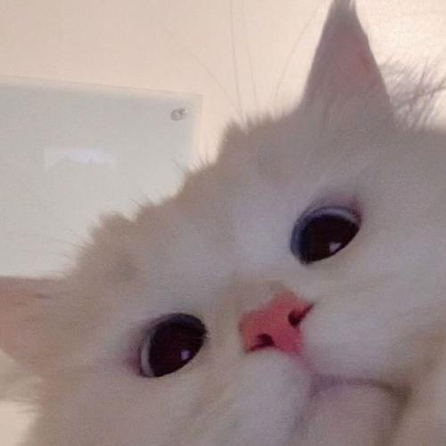 สมาชิกหมายเลข 6172251