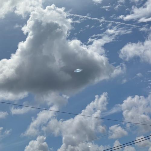 สมาชิกหมายเลข 7809127