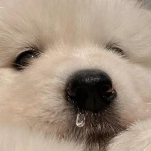 สมาชิกหมายเลข 8829812