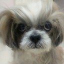 สมาชิกหมายเลข 4166489