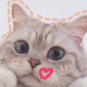 สมาชิกหมายเลข 2346619