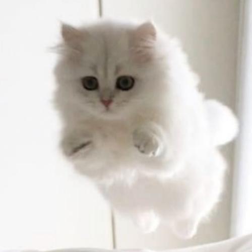 สมาชิกหมายเลข 5187447