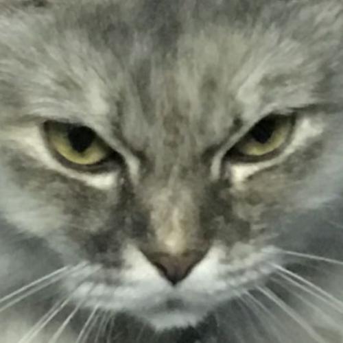 สมาชิกหมายเลข 5244719