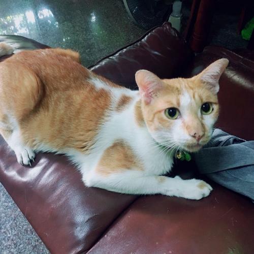 สมาชิกหมายเลข 5296453