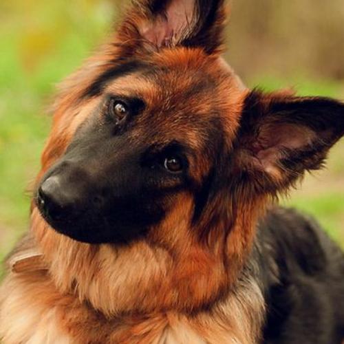 สมาชิกหมายเลข 5782166