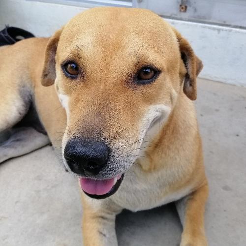 สมาชิกหมายเลข 5782313