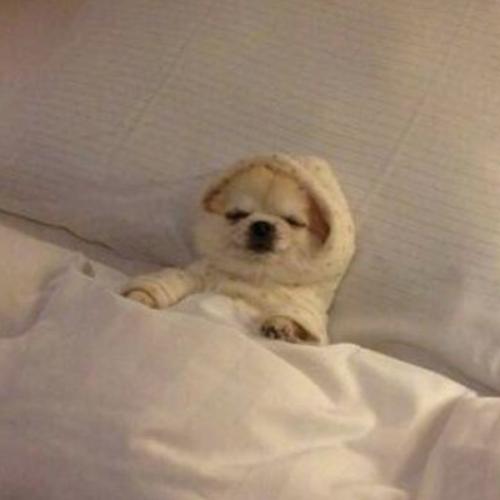 สมาชิกหมายเลข 5269117