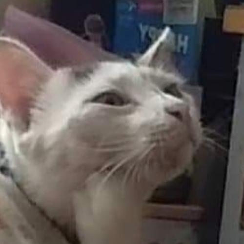 สมาชิกหมายเลข 6298547