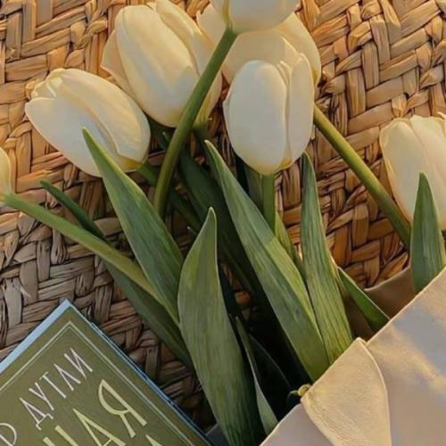 สมาชิกหมายเลข 7318304